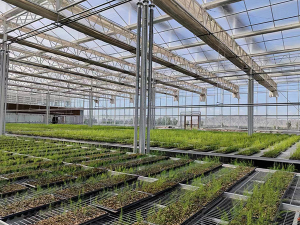 新乡智慧农业玻璃温室