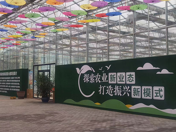 青海新农业智能大棚建设
