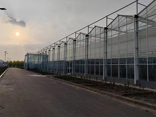 南京建设玻璃温室价格