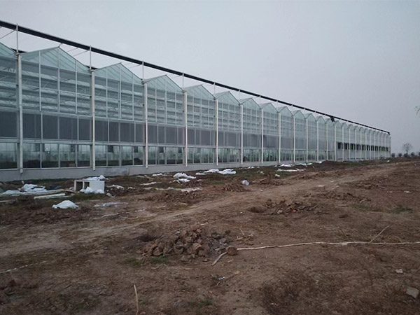 郑州农业产业园连栋玻璃大棚