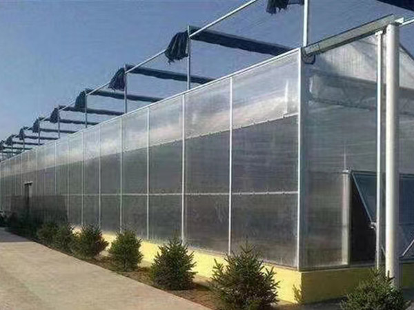 哈尔滨阳光板温室建造