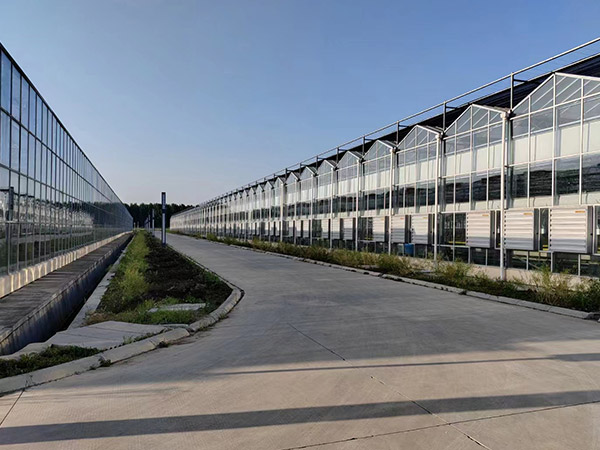 南京玻璃温室大棚施工